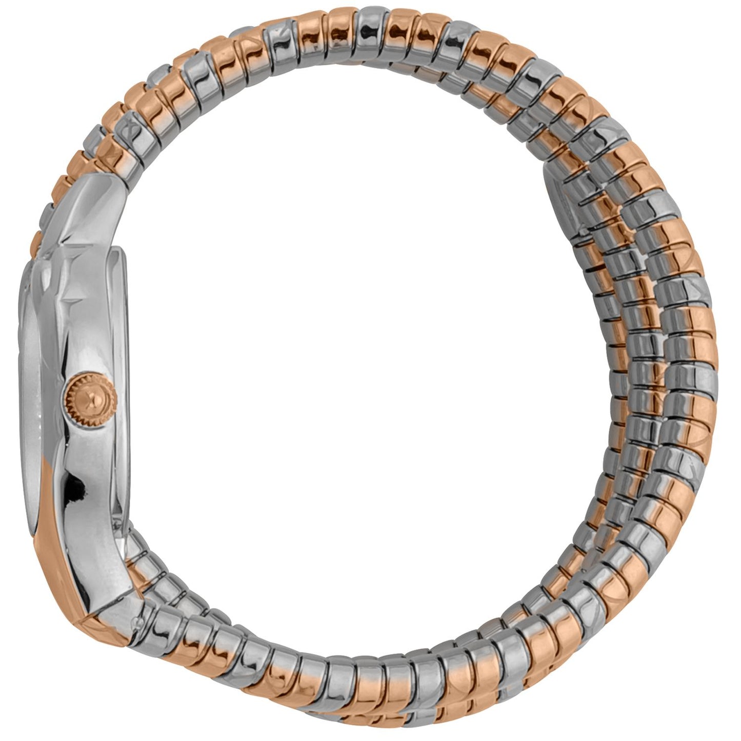 Multicolor Women Watches