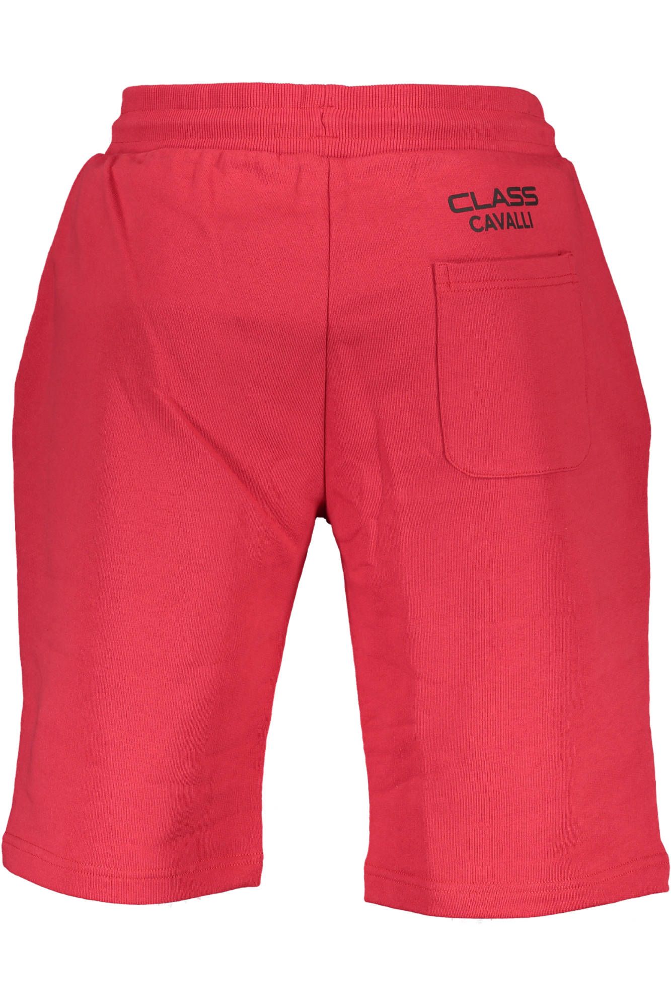 Vibrant Sporty Shorts with Contrasting Details