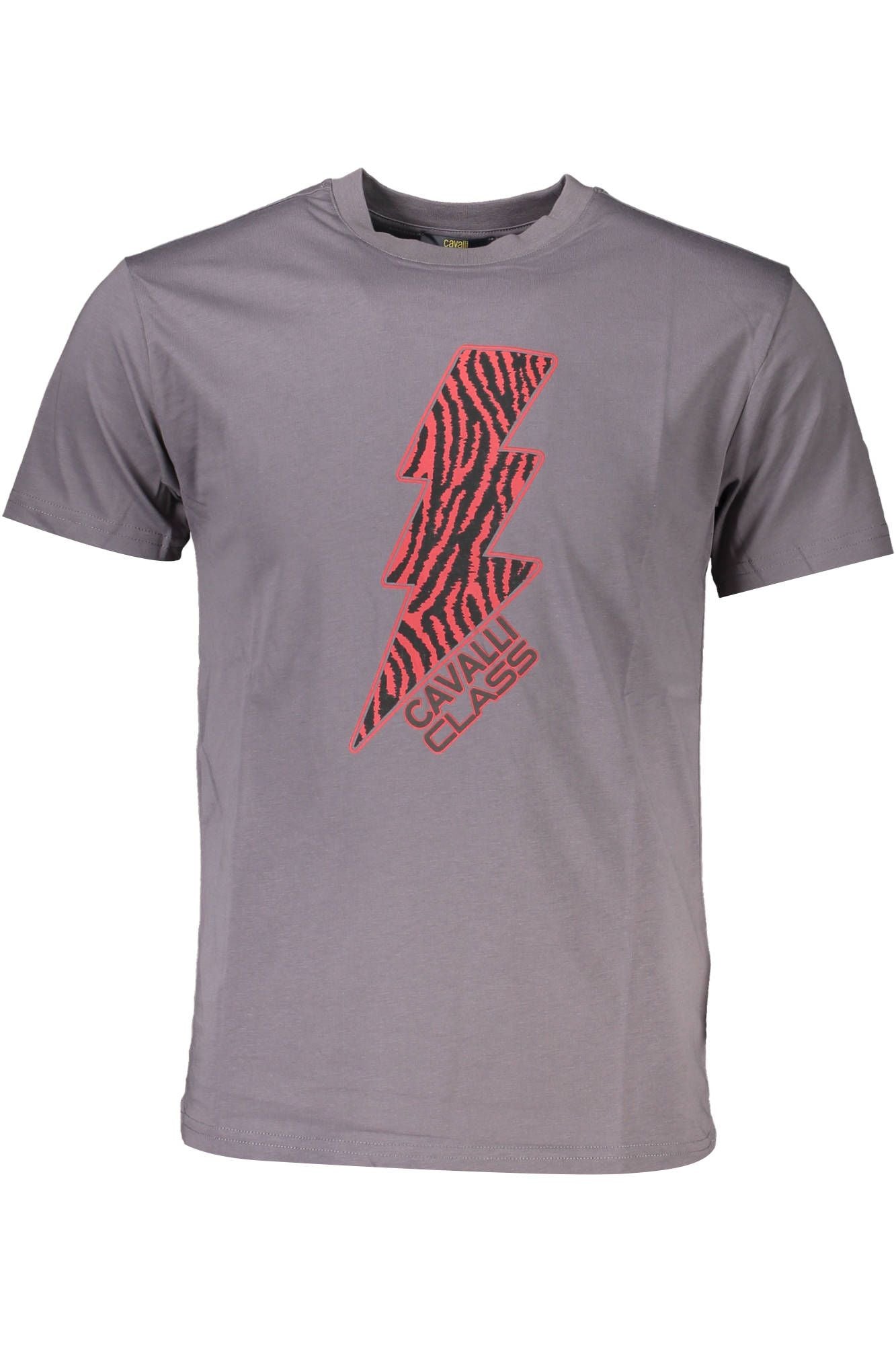 Elevated Casual Gray Printed Tee