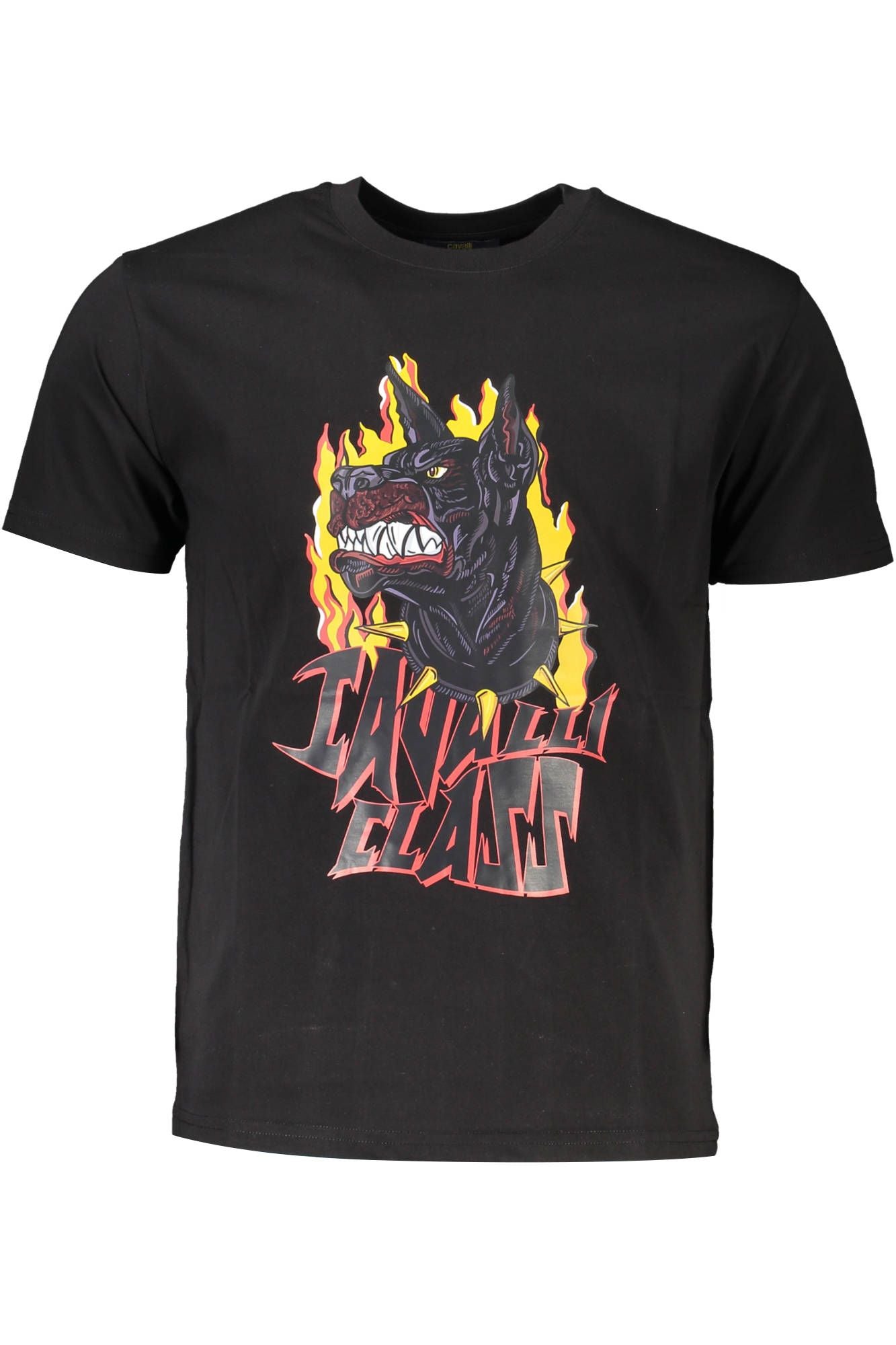 Elegant Short Sleeve Printed Tee