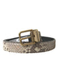 Brown Python Leather Gold Metal Buckle Belt