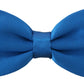 Elegant Sapphire Silk Bow Tie