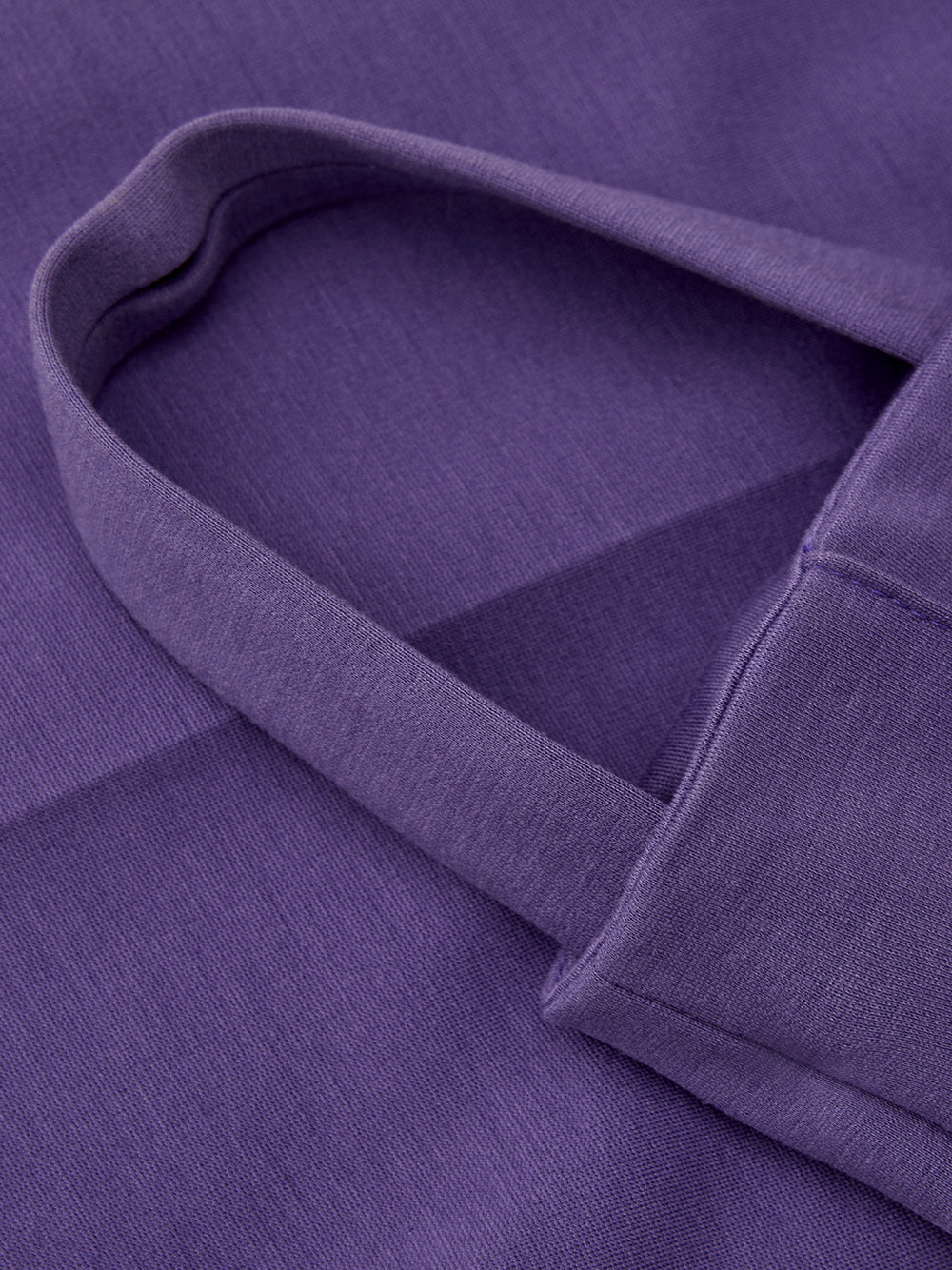 Elegant Purple Viscose Jodhpurs Pants