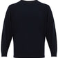 Elegant Blue Wool Round Neck Sweater