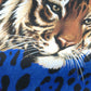 Black Blue Leopard Print Trouser Jogger Pants