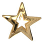 Elegant Gold Plated Star Pin