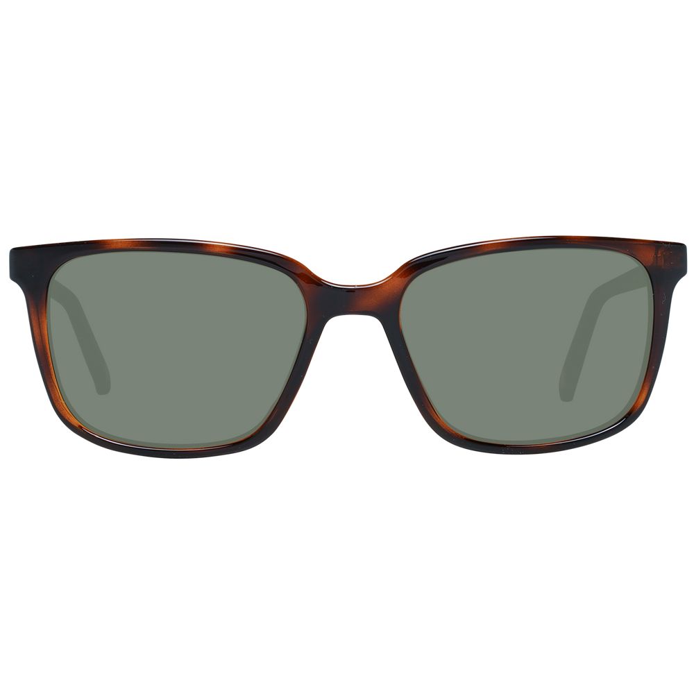 Brown Men Sunglasses