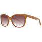 Brown Women Sunglasses