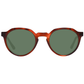 Brown Men Sunglasses