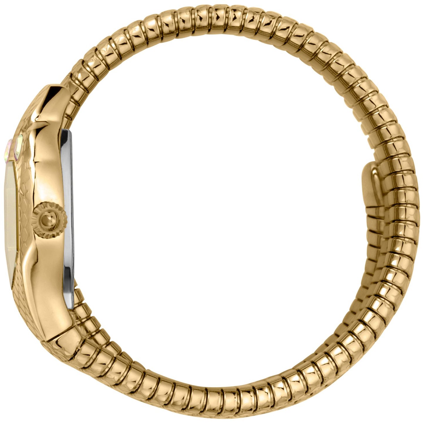 Gold Women Watches