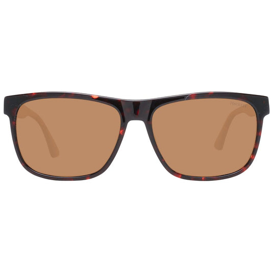 Brown Men Sunglasses