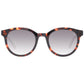 Brown Men Sunglasses