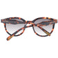 Brown Men Sunglasses
