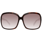 Brown Women Sunglasses