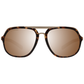 Brown Men Sunglasses