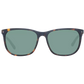 Brown Men Sunglasses