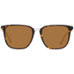 Brown Women Sunglasses