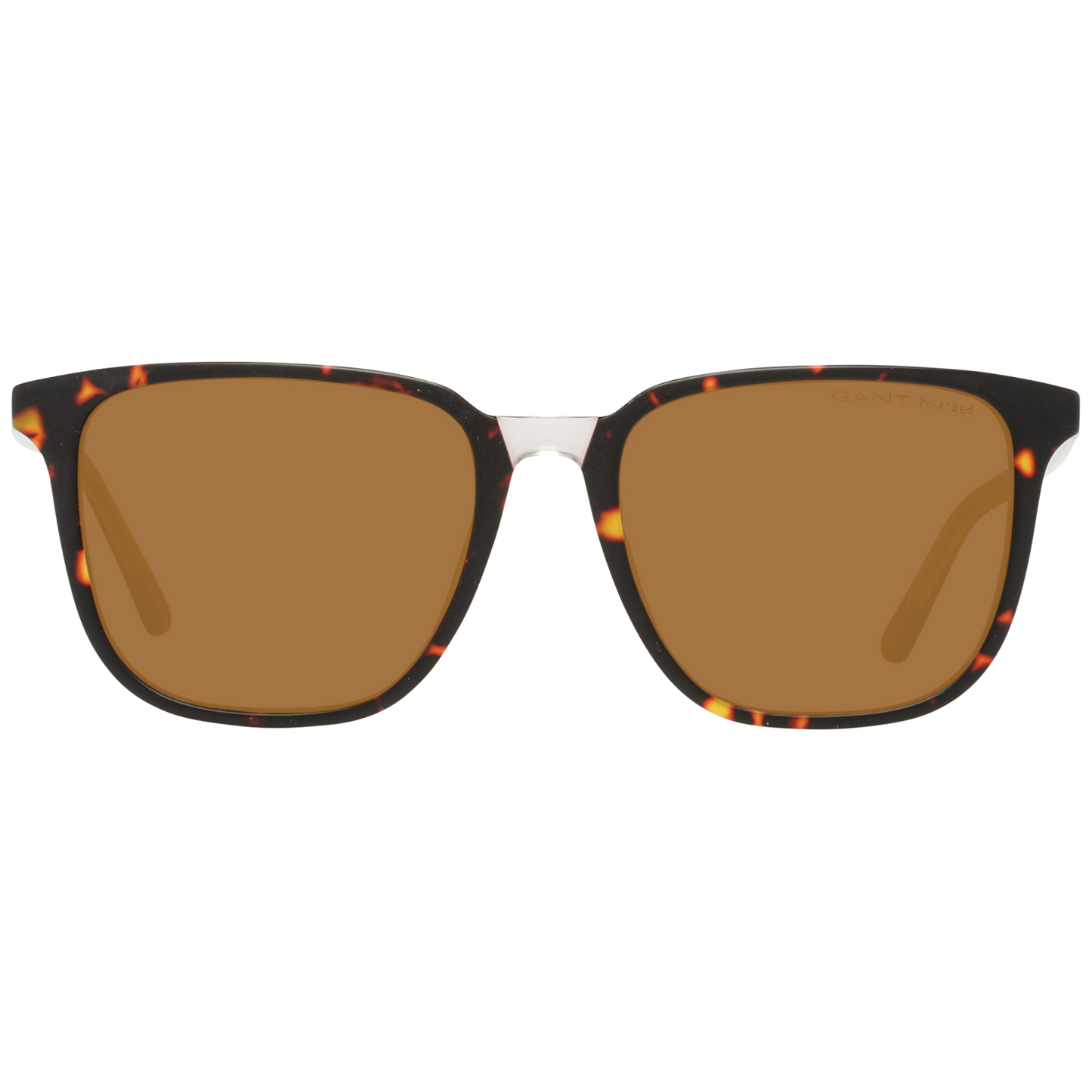 Brown Women Sunglasses