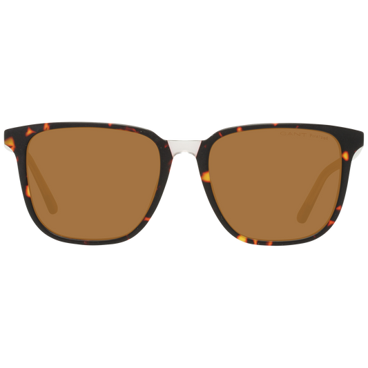 Brown Women Sunglasses