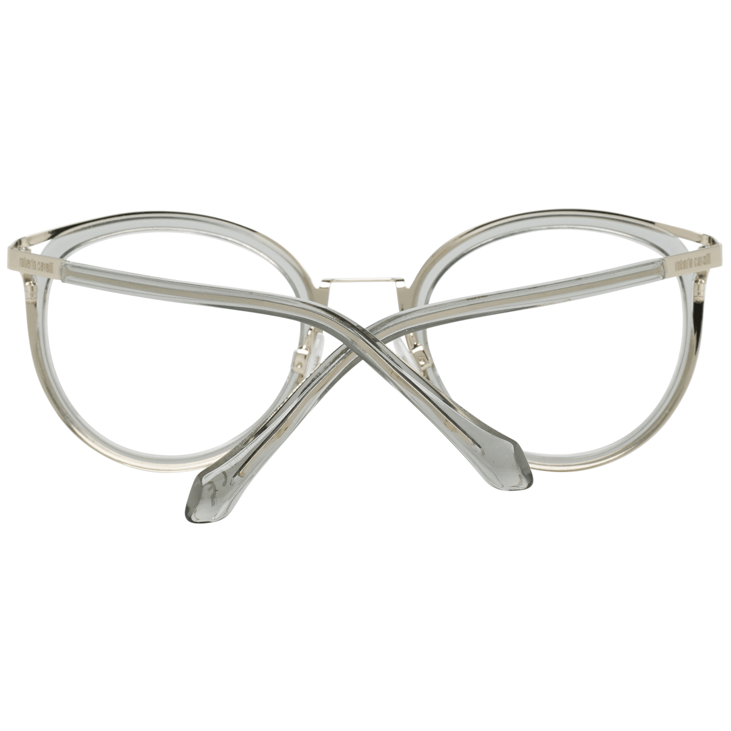 Silver Women Frames