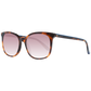 Brown Women Sunglasses