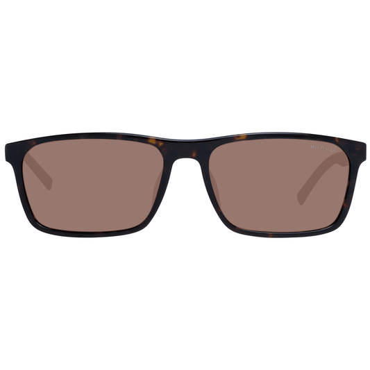 Brown Men Sunglasses