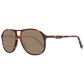Brown Men Sunglasses
