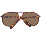 Brown Men Sunglasses