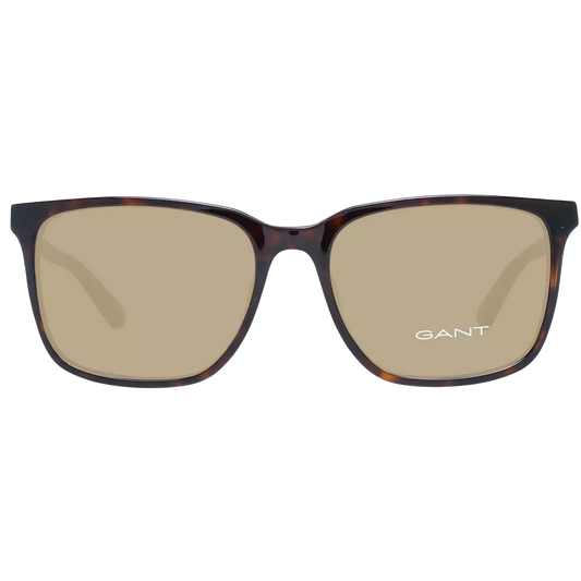 Brown Men Sunglasses