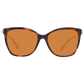 Brown Women Sunglasses