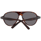Brown Men Sunglasses