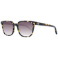 Brown Sunglasses for man