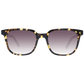 Brown Sunglasses for man