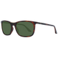 Brown Men Sunglasses