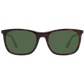 Brown Men Sunglasses