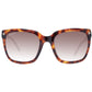 Brown Women Sunglasses