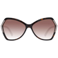 Brown Women Sunglasses