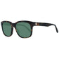 Brown Men Sunglasses