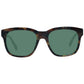Brown Men Sunglasses