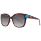 Brown Men Sunglasses