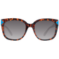 Brown Men Sunglasses