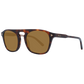 Brown Men Sunglasses