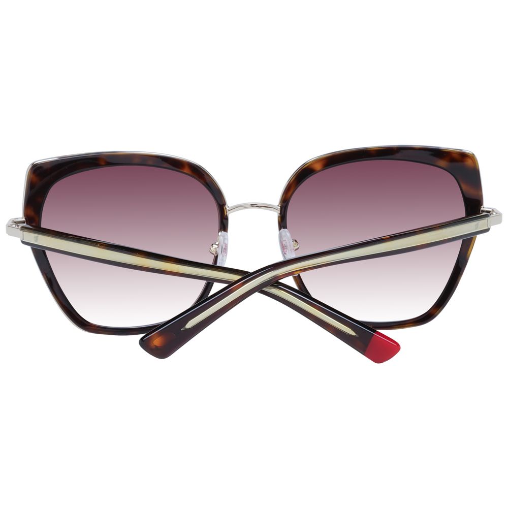 Brown Women Sunglasses