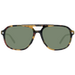 Brown Sunglasses for man