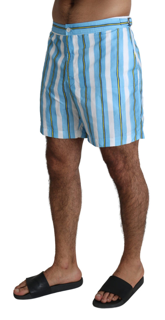 Striped Elegance Swim Shorts