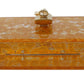 Elegant Translucent Box Evening Clutch