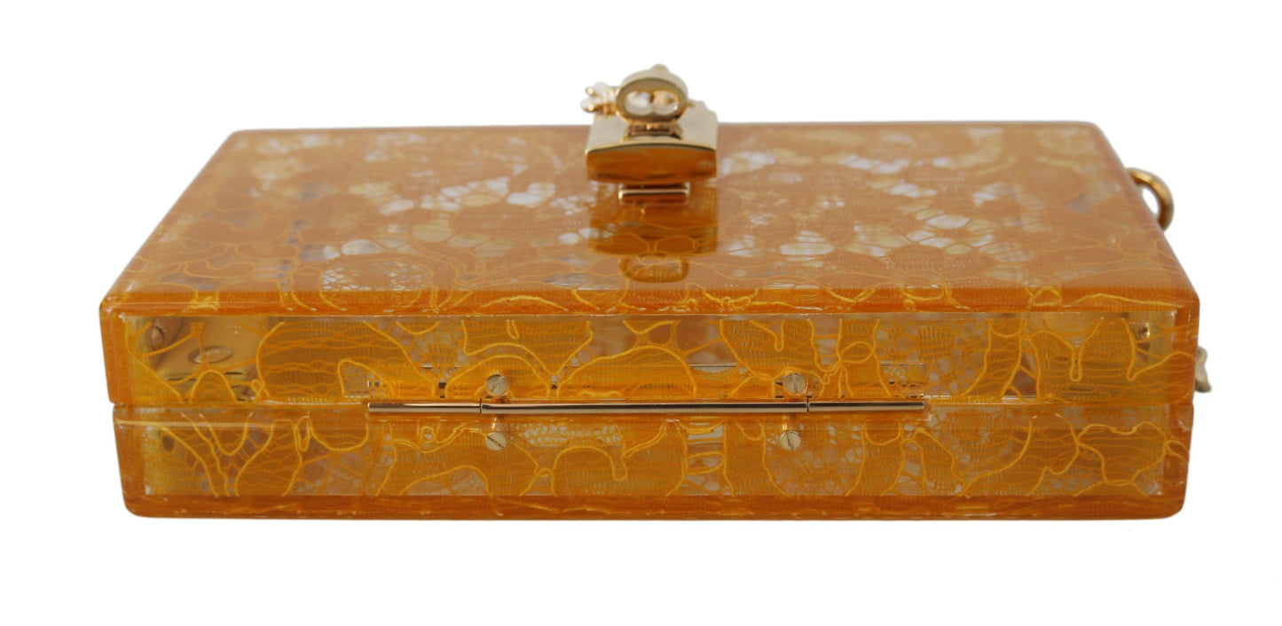 Elegant Translucent Box Evening Clutch