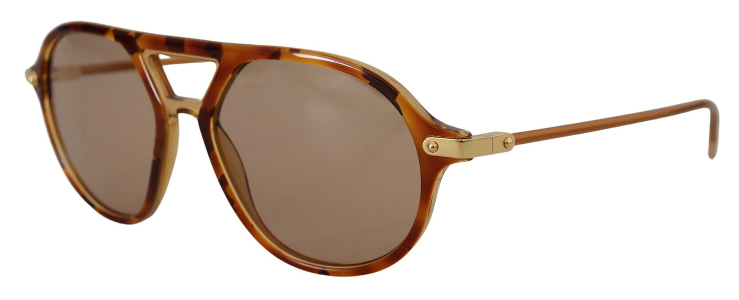 Chic Brown Acetate Sunglasses for Women