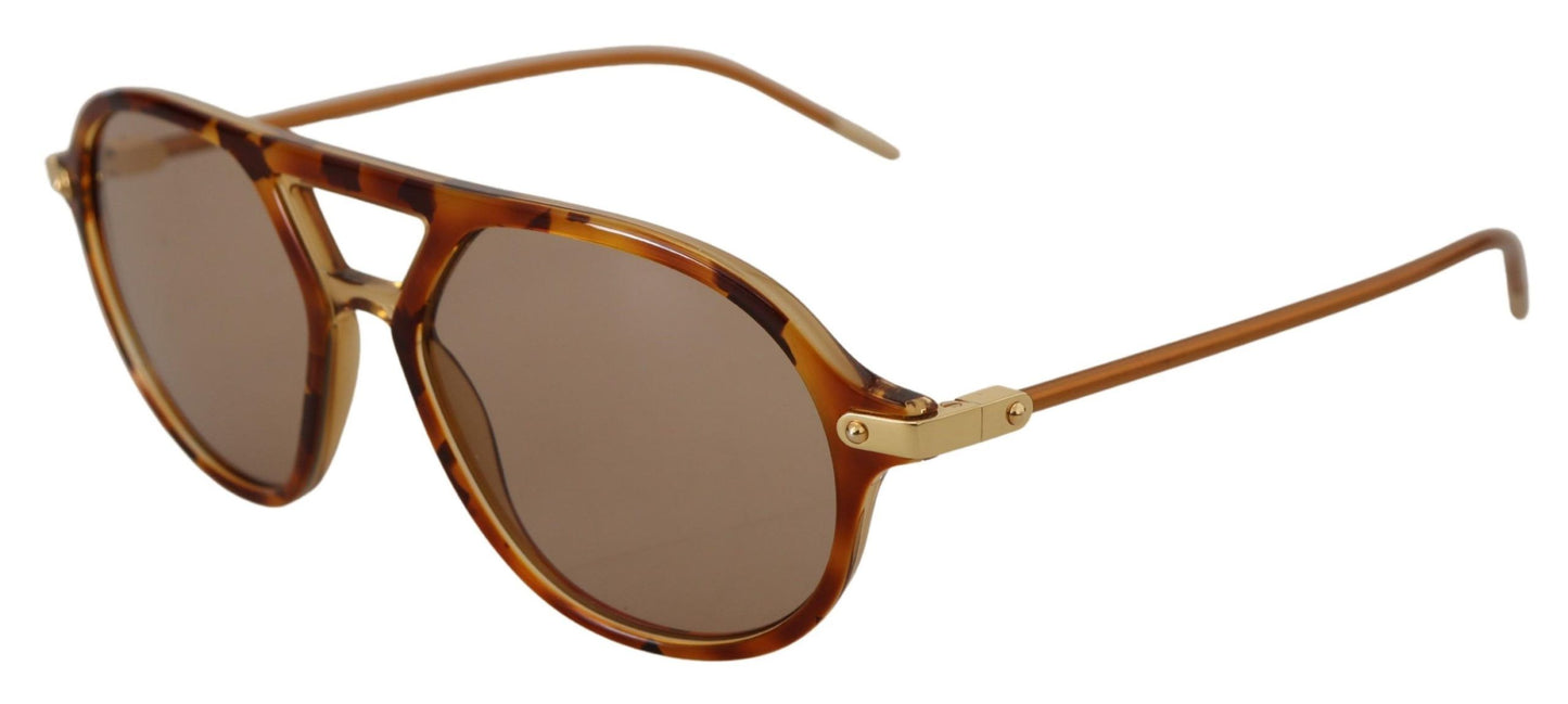 Chic Brown Acetate Sunglasses for Women