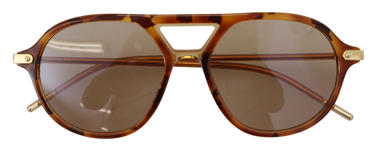 Chic Brown Acetate Sunglasses for Women